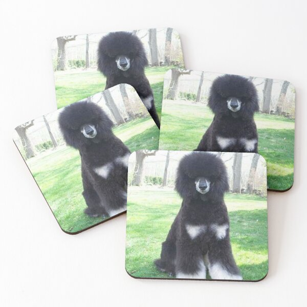Item preview, Poodle photo cute pet dog dos pets puppy sweet  designed and sold by Coolstuff4you71.