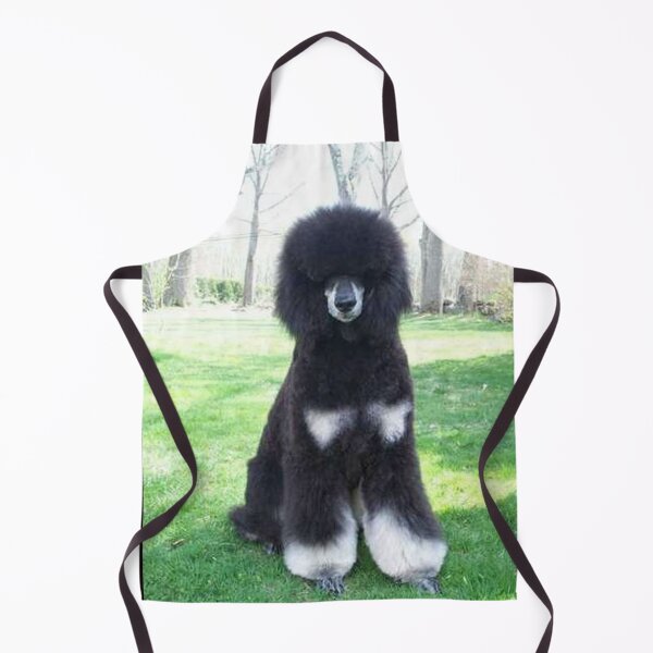 Item preview, Poodle photo cute pet dog dos pets puppy sweet  designed and sold by Coolstuff4you71.
