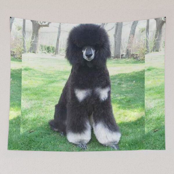 Item preview, Poodle photo cute pet dog dos pets puppy sweet  designed and sold by Coolstuff4you71.