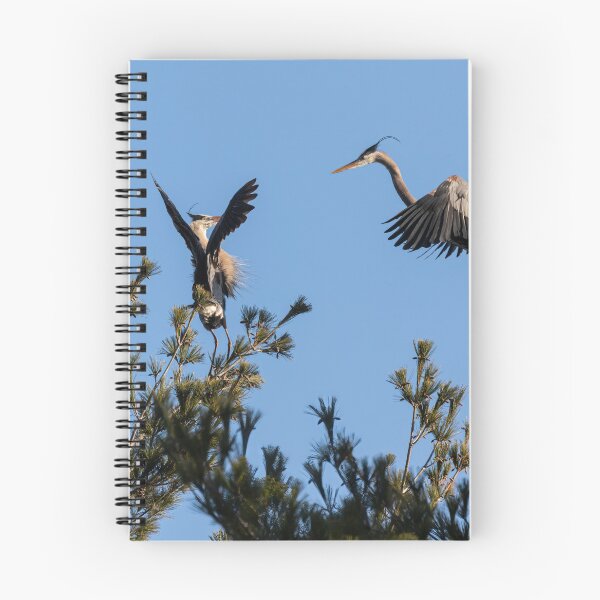 Item preview, The Disagreement 2020 designed and sold by Thomasyoung.