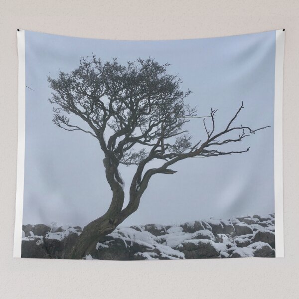 Item preview, Lone tree designed and sold by Ian James McDonald.