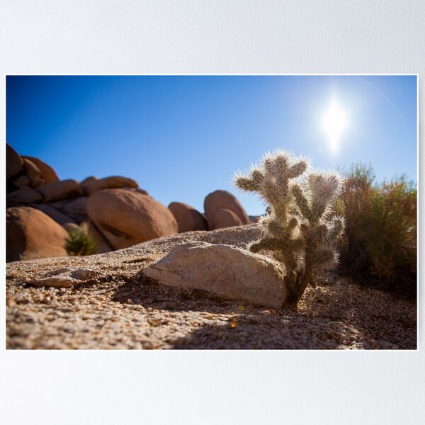 Item preview, Joshua Tree designed and sold by ChrisFrankPhoto.