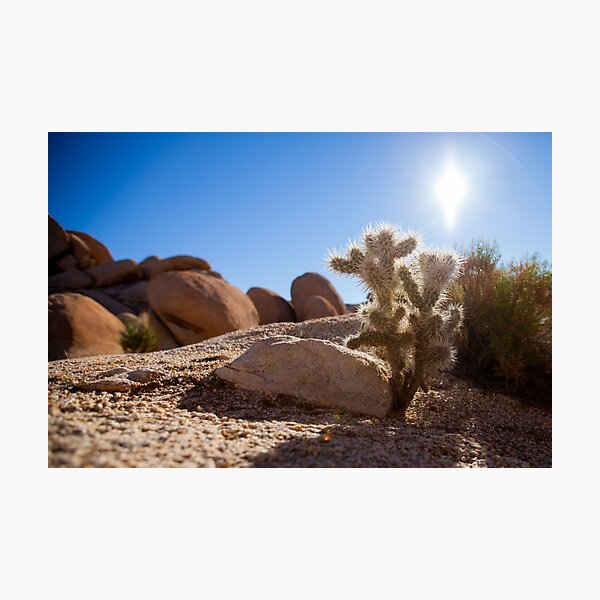 Item preview, Joshua Tree designed and sold by ChrisFrankPhoto.