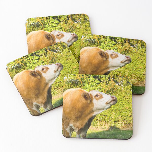Item preview, Simmental Cow designed and sold by Jane Stanley Photography.