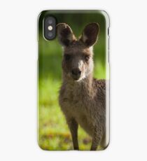 Kangaroos iPhone Case/Skin