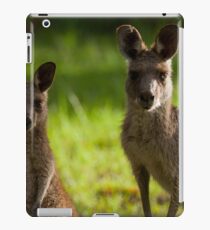 Kangaroos iPad Case/Skin