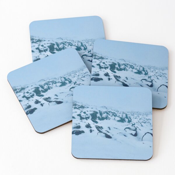 Frozen feet. Coasters (Set of 4)