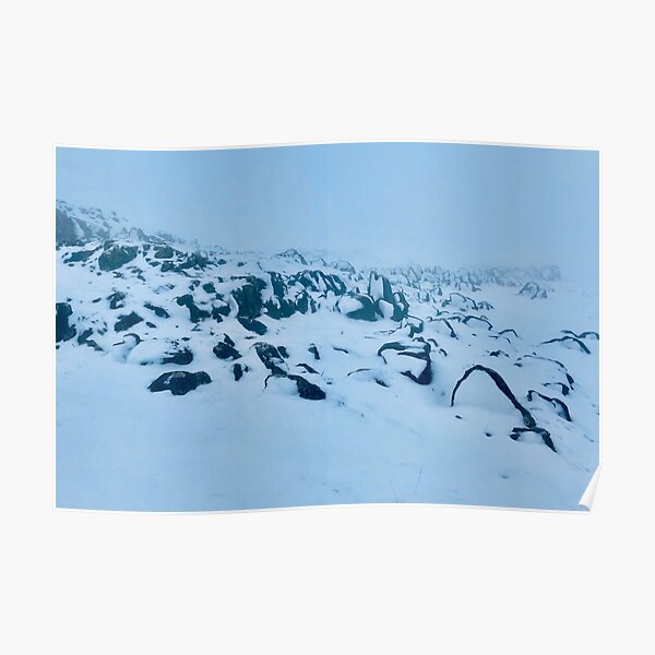 Frozen feet. Poster