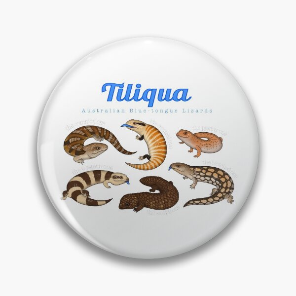 Blue-tongue Lizards Pin