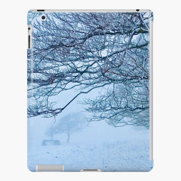 Windbreaker iPad Snap Case