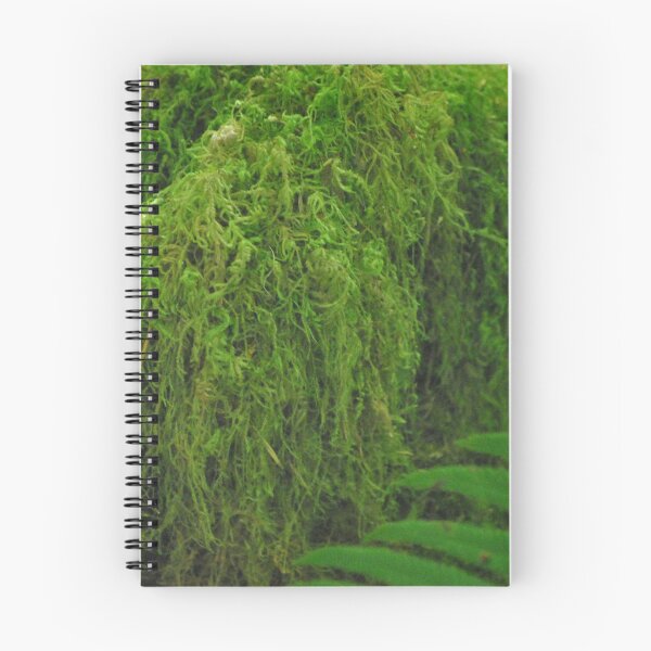 Item preview, Moss and Fern designed and sold by Tamara McDonnell.