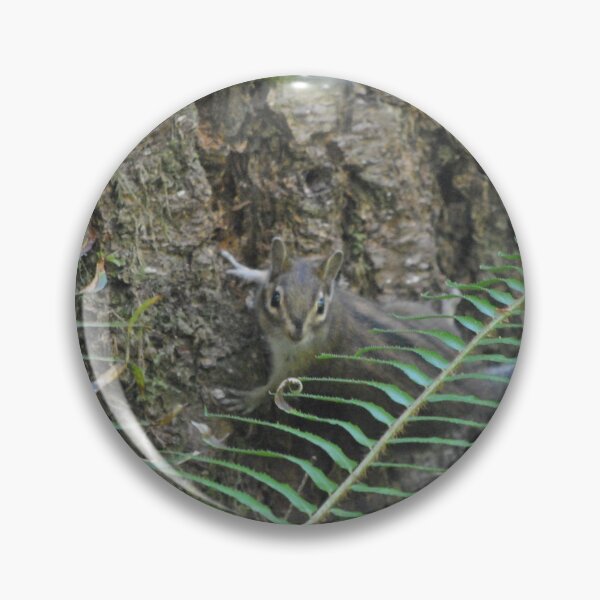Item preview, Chipmunk designed and sold by Tamara McDonnell.