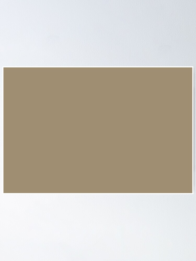 Meaningful Mid Tone Brown Solid Color Pairs To Sherwin Williams Barro