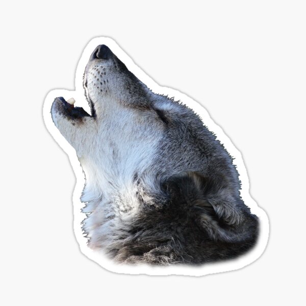 "Wolf Howling" Sticker by WorldDesign Redbubble