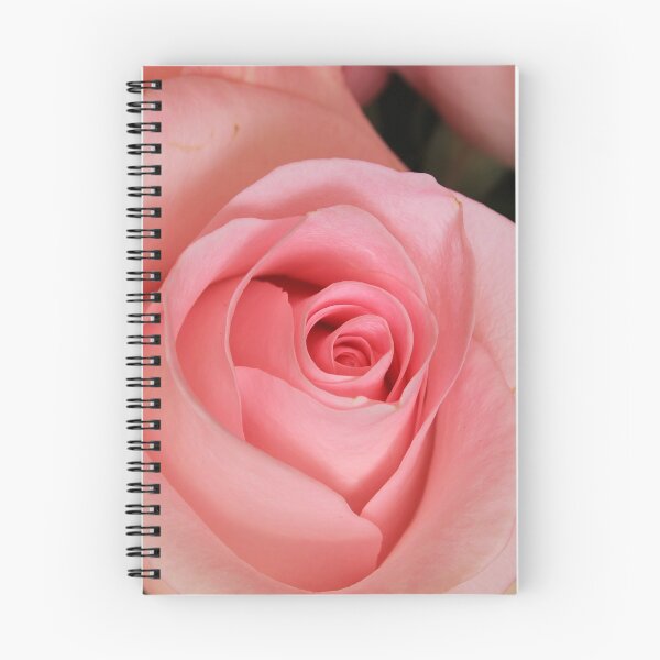 Item preview, Pink Roses designed and sold by rhamm.