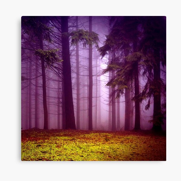 fog Canvas Print