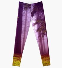 Nebel Leggings