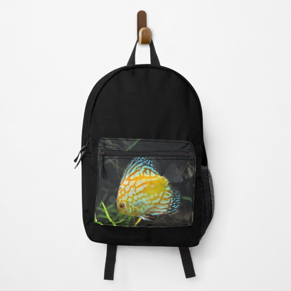 Item preview, yellow and red Discus fish Symphysodon designed and sold by Schoensl.