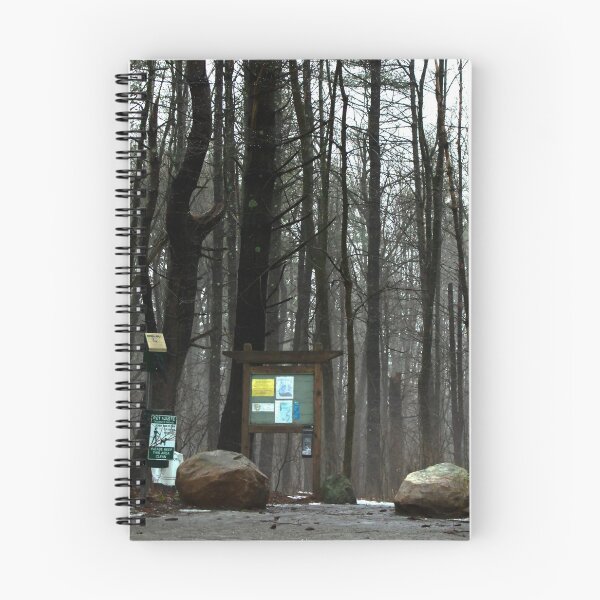 Item preview, Foggy Winter Forest designed and sold by claireture.