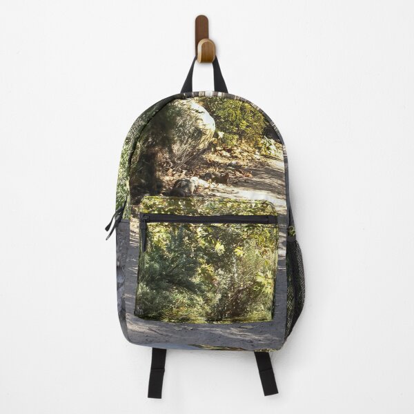 Item preview, Trail With Huge Boulders designed and sold by heatherfriedman.