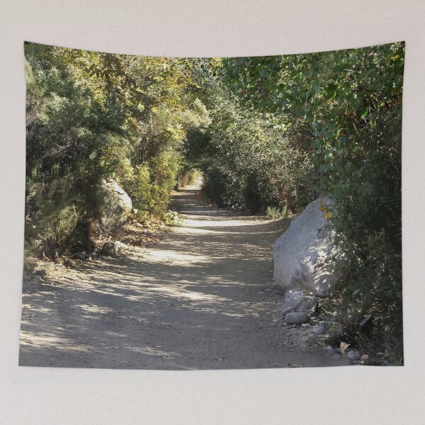 Item preview, Trail With Huge Boulders designed and sold by heatherfriedman.
