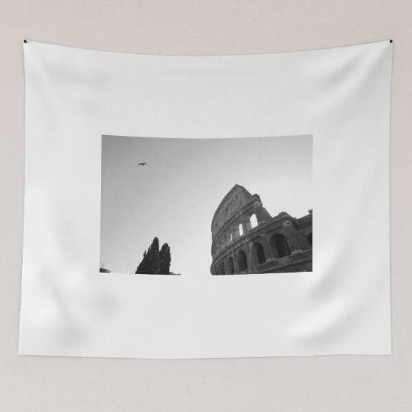 Item preview, Black and White The Colosseum, Ruins of Rome with a flying bird designed and sold by Happy Life Graphics.