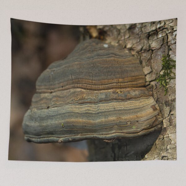 Item preview, Hoof Fungus designed and sold by claireture.