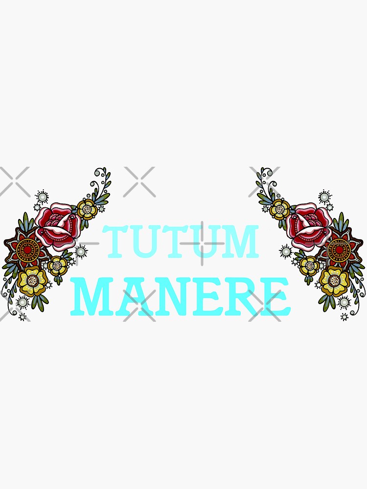 "Stay Safe in LATIN" Sticker for Sale by sandpiperstudio Redbubble