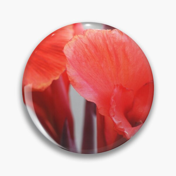 Artikelvorschau, Canna Blooms entworfen und verkauft von Tamara McDonnell.