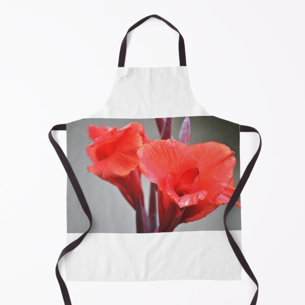 Artikelvorschau, Canna Blooms entworfen und verkauft von Tamara McDonnell.