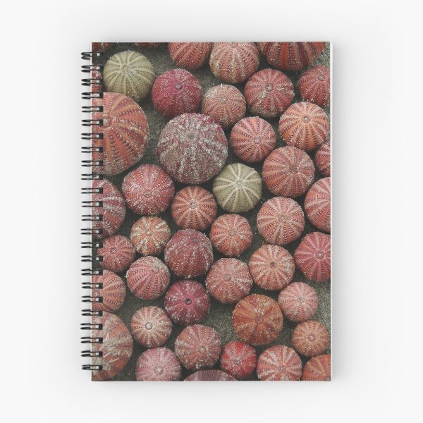 Item preview, Urchins designed and sold by catdot.