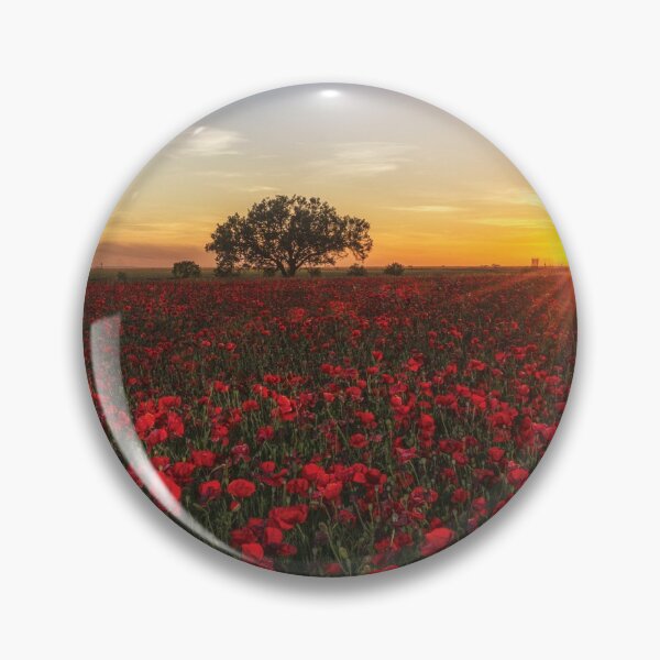 Item preview, Poppies at Sunset designed and sold by abbazabba.