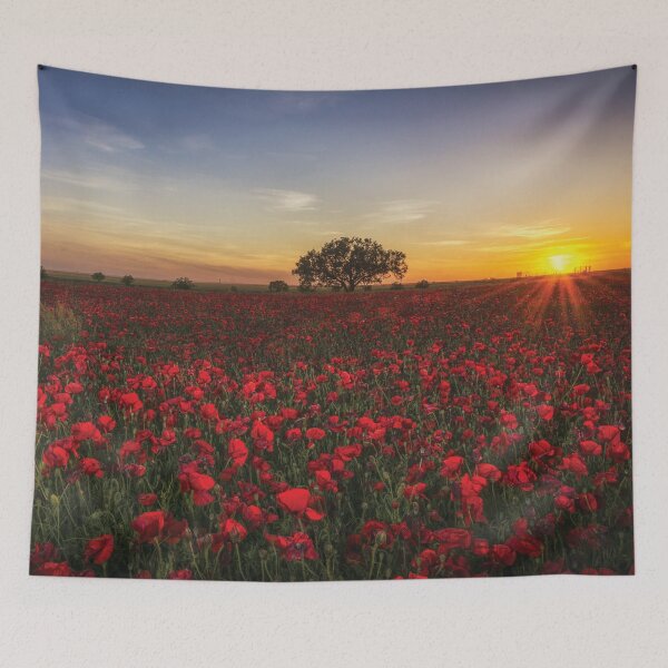 Item preview, Poppies at Sunset designed and sold by abbazabba.