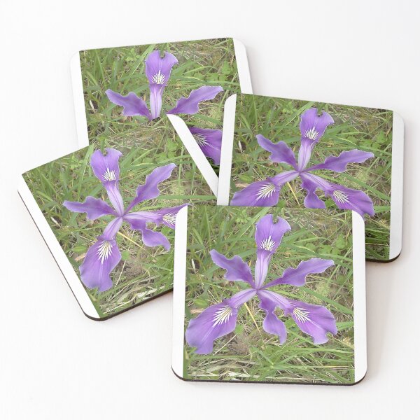 Item preview, Iris designed and sold by Tamara McDonnell.