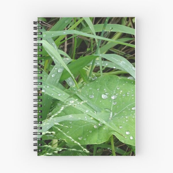Artikelvorschau, Regen auf Gras entworfen und verkauft von scholara.