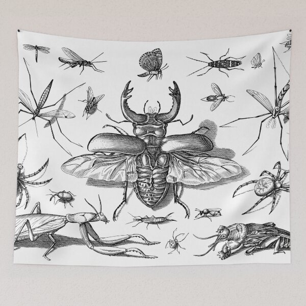 Item preview, Insects designed and sold by Good-Looking Corpse.