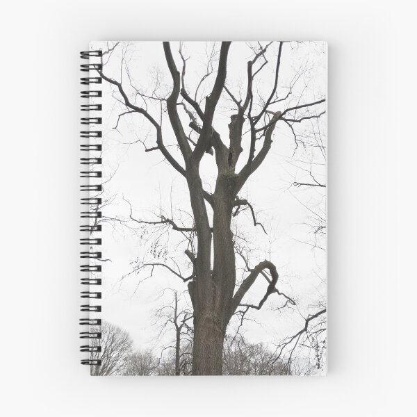Item preview, Maple Tree designed and sold by Jeremy Schwartz.