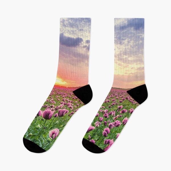 Item preview, Sunset Fields of Purple Tulip Flowers designed and sold by Felicity-K.