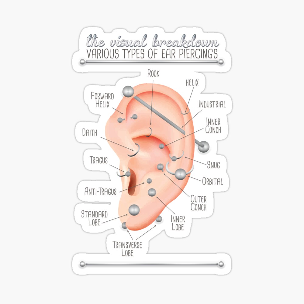Ear Piercing Chart Poster