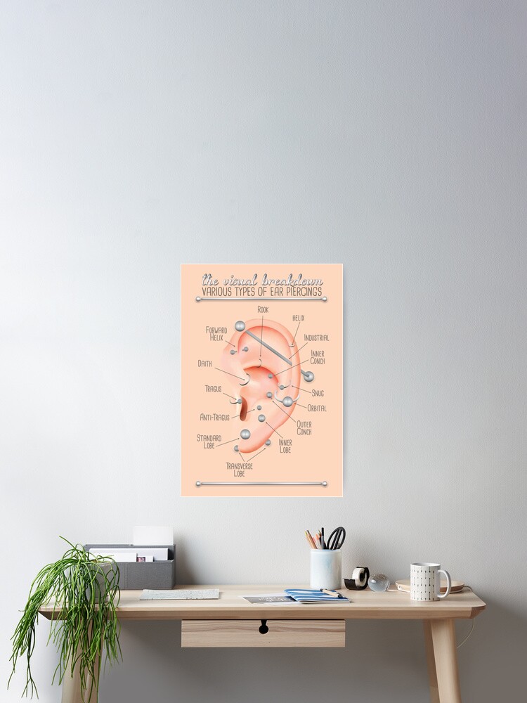 Ear Piercing Chart Poster