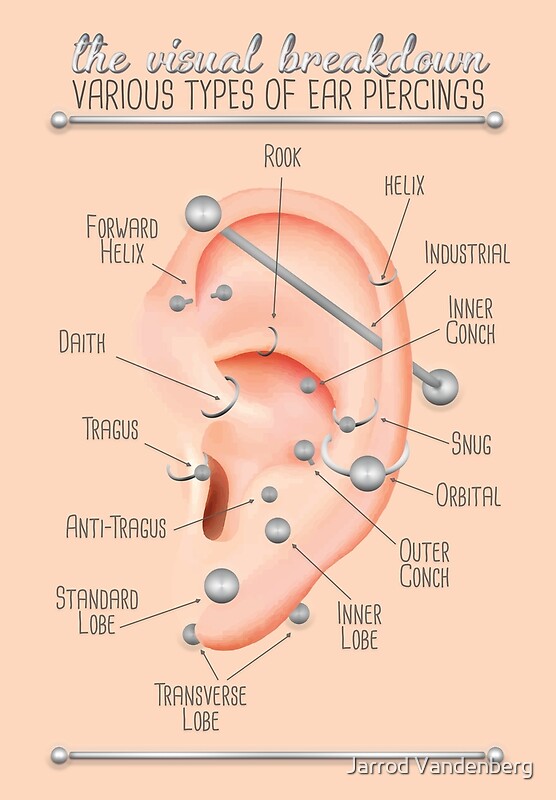 "Ear Piercing Chart" by Jarrod Vandenberg Redbubble