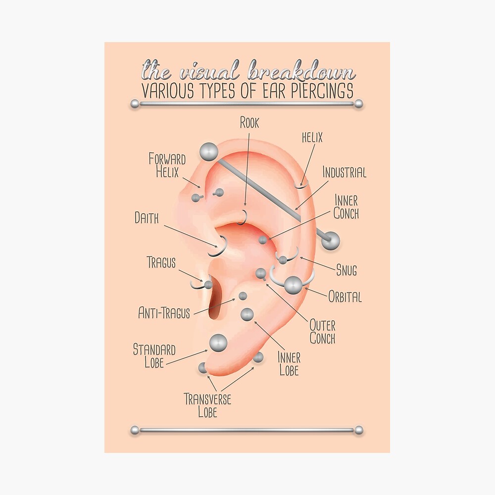 Ear Piercing Chart Poster