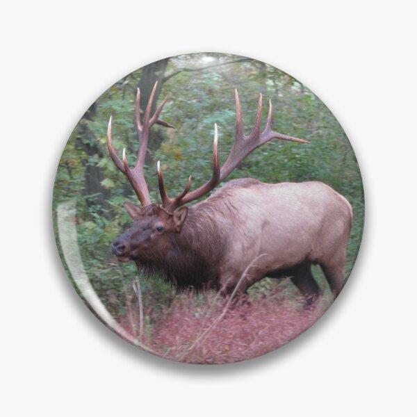 Item preview, Benezette Bull Elk  designed and sold by Broken Antler Designs .