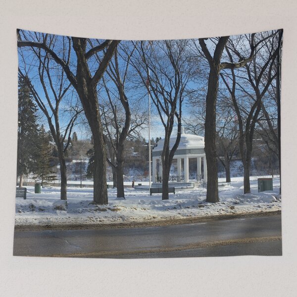 Item preview, Winter in Saskatoon  designed and sold by Zandria Kajewski.