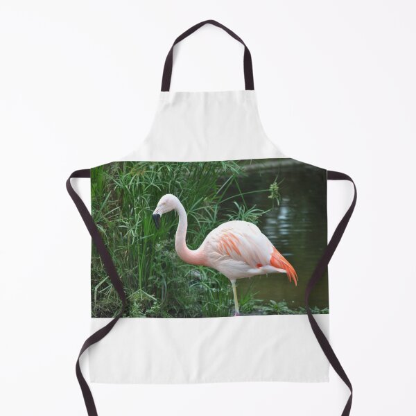 Item preview, Chilean Flamingo designed and sold by Tamara McDonnell.