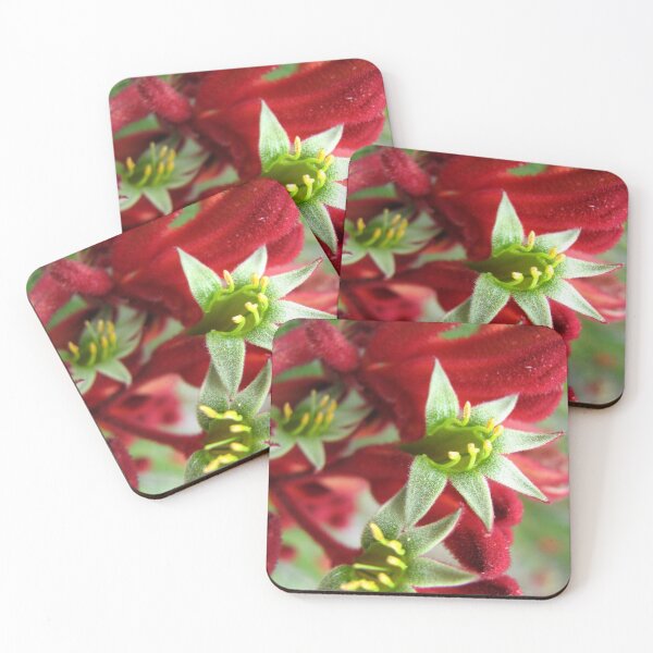 Item preview, Kangaroo Paw designed and sold by Kathie Nichols.
