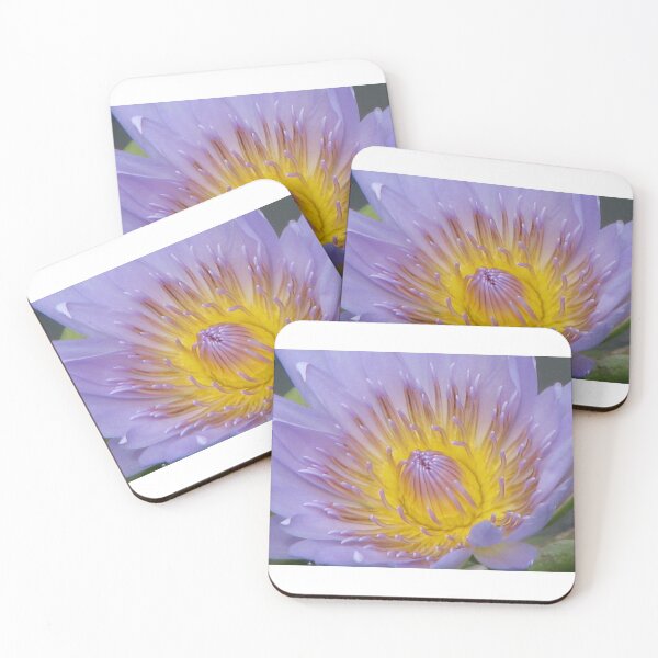Item preview, Water Lily designed and sold by Kathie Nichols.