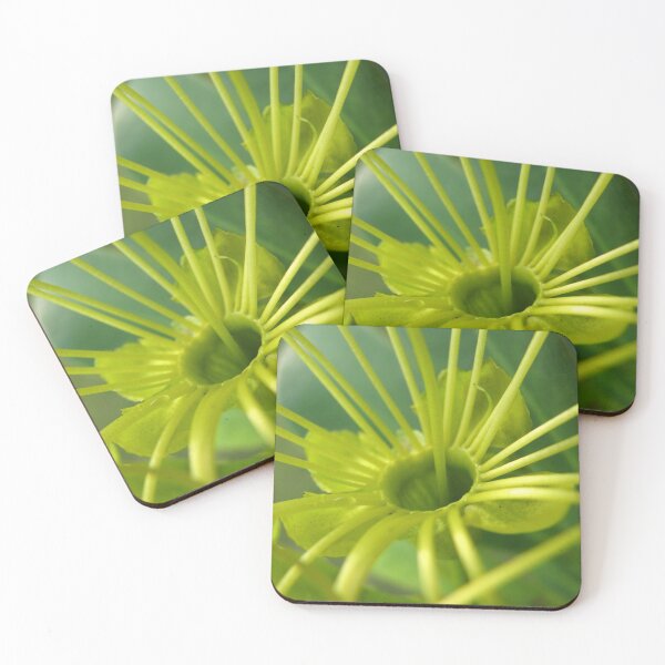 Item preview, Yellow Gum Blossom designed and sold by Kathie Nichols.