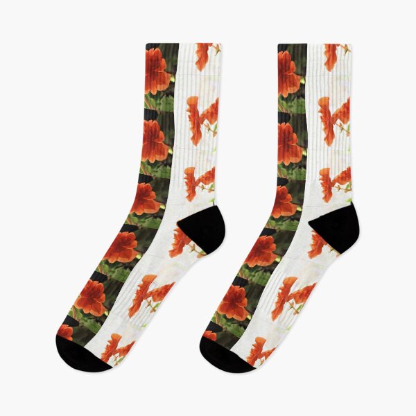 Item preview, Three Begonias designed and sold by Martha Sherman.