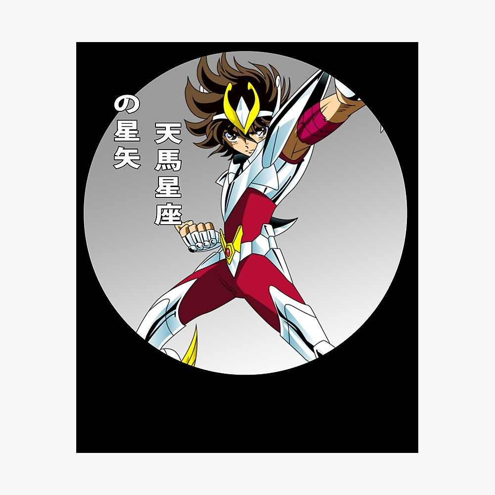 Andromeda Shun Photo: Andromeda Shun | Saint seiya, Anime japan, Manga anime